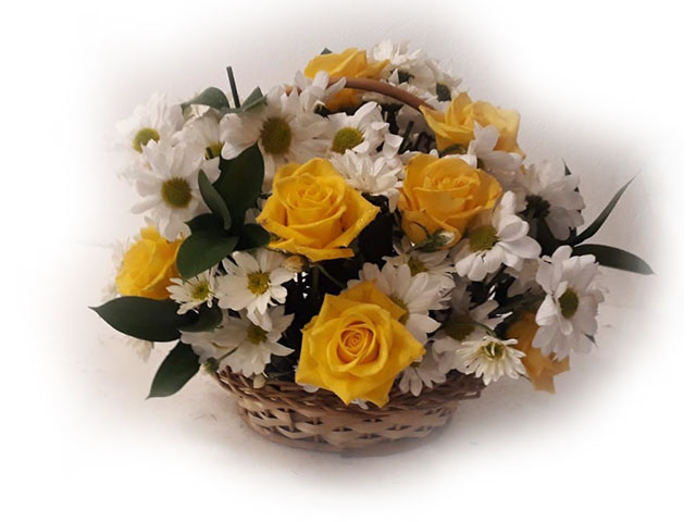Cesta de Margaridas Brancas e Rosas Amarelas – Rosa Flor
