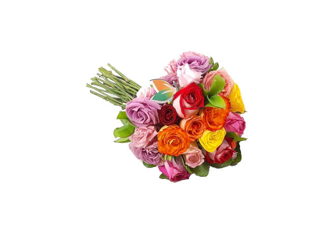 Buquê de Rosas Coloridas com 12 – Rosa Flor