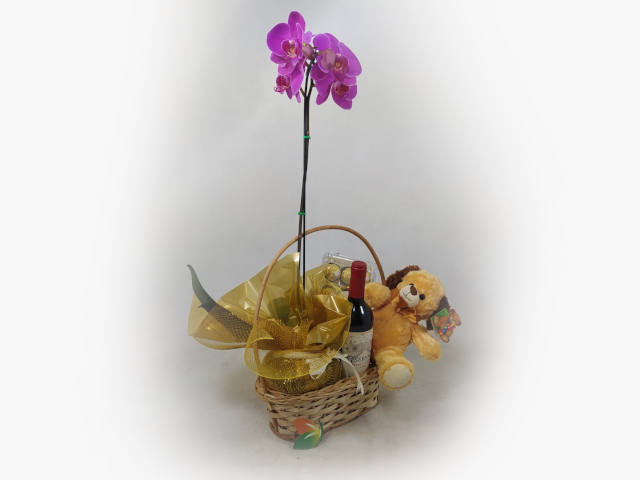 Cesta de Orquídea Chocolate e Pelúcia – Rosa Flor